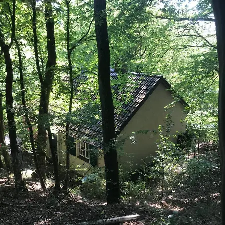Mussezeit Sauerland *